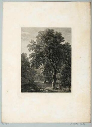 Blick in den Großen Garten in Dresden, Blatt Teil einer Folge von 12 Naturstudien von Johann Philipp Veith