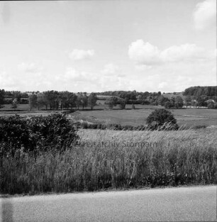 Travetal: vorn Wiese mit Gräsern und Büschen: hinten Trave zwischen Feldern und Weiden: im Hintergrund Knicklandschaft