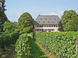 Hof Drais / Weingut Baron zu Knyphausen; Eltville, Erbacher Straße 28, Erbacher Straße 26