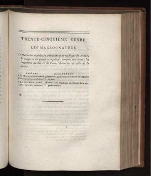 TRENTE-CINQUIÉME GENRE