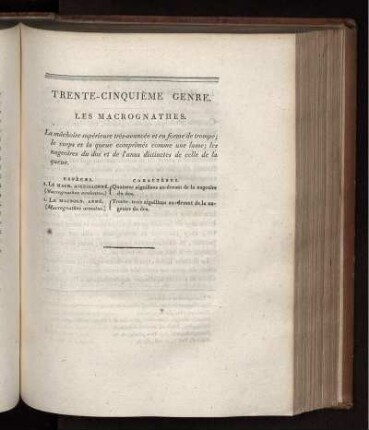 TRENTE-CINQUIÉME GENRE