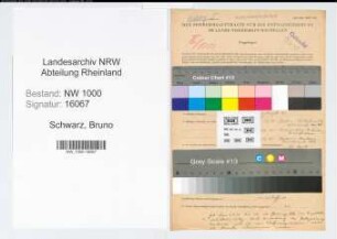Entnazifizierung Bruno Schwarz, geb. 27.11.1910 (Finanzinspektor)