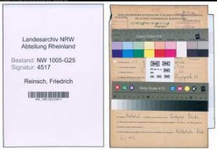 Entnazifizierung Friedrich Reinsch , geb. 13.08.1893 (Vertreter)