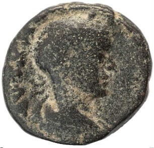 Nysa Scythopolis