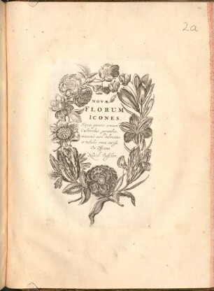 Novae Florum Icones : huius generis artium cultoribus artium maxima cura delineatae et tabulis aeneis incisae