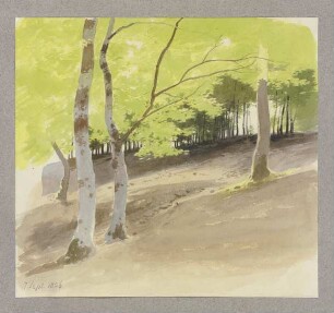 Waldpartie