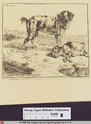 Stehender und liegender Hund mit Baumstamm.