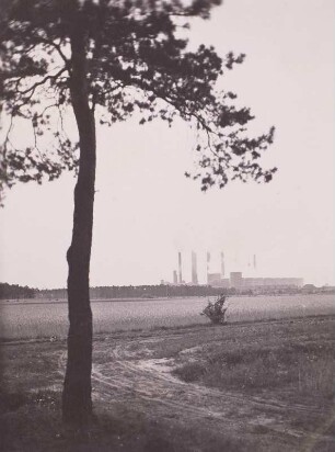 Dübener Heide. Blick zum Kraftwerk Zschornewitz