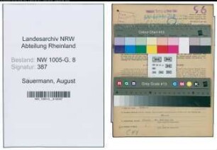 Entnazifizierung August Sauermann , geb. 12.10.1885 (Ingenieur)