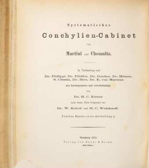 Die Gattung Ancillaria