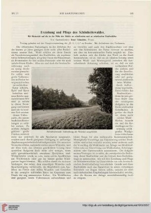 15: Erziehung und Pflege des Schönheitswaldes : mit Rücksicht auf die in der Nähe der Städte zu schaffenden und zu erhaltenden Stadtwälder