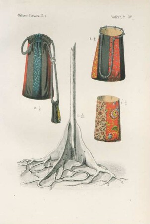 Pl. XV
