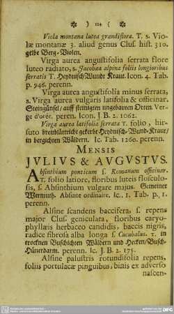 Mensis Julius & Augustus