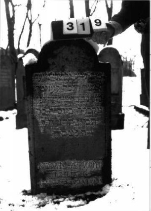 Grabstein 319