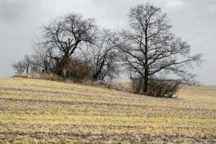 Warten I