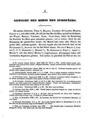 Gewicht des Hirns des Europäers