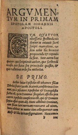 Commentarii in S. Johannis apostoli epistolas, scripti ...