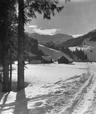 Hirschegg. Ortsteilansicht