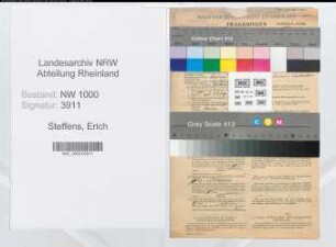 Entnazifizierung Erich Steffens, geb. 15.08.1904 (Kaufmann)
