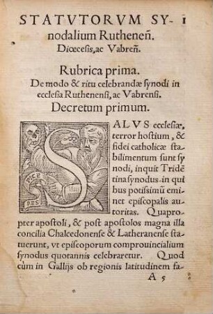 Statuta Synodalia diœcesis Ruthenen[sis] acq[ue] Vabren[sis]