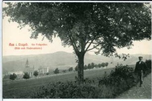 Aue. Am Floßgraben (Blick nach Niederschlema)