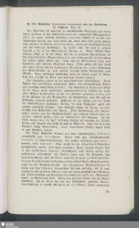 69. Der Wacholder (Juniperus communis) und der Sadebaum (J. Sabina)