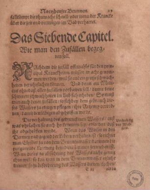 Das Siebende Capitel. Wie man Zufällen begegnen soll.