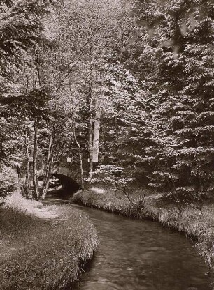 Schwedenbrücke über die Prießnitz : Dresdner Heide, Schwedenbrücke über die Prießnitz, Blick flussaufwärts