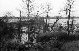 Rust: Abwasserprojekt Taubergießen; Rheinwald Naturschutzgebiet