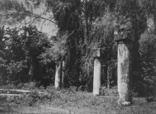 Maruhubi-Palast : Von Säulen umgebener Seerosenteich in der Ruine des Maruhubi-Palastes auf Sansibar