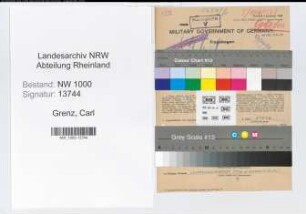 Entnazifizierung Carl Grenz, geb. 09.04.1903 (Kaufmann)