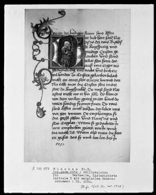 Heiligenleben — Initiale D (er lieb herr) mit der heiligen Afra