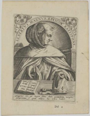 Bildnis des Albertus Magnus