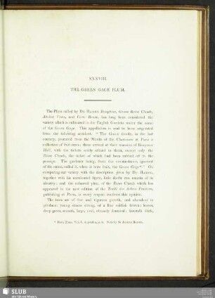 XXXVIII. The Green Gage Plum