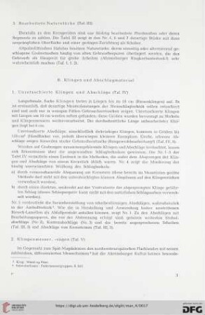 B. Klingen und Abschlagmaterial
