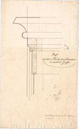 Voit, August von; Kirchheimbolanden; Synagoge - Subsellien - Profil (Detail)