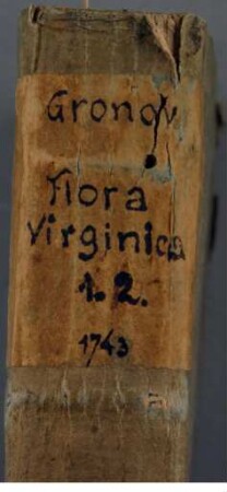 Flora Virginica / Pars prima