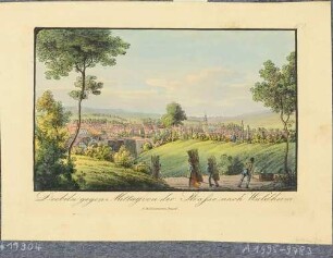 Stadtansicht von Döbeln in Mittelsachsen aus südwestlicher Richtung von der Waldheimer Straße