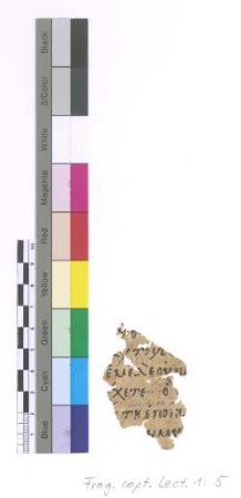 Eve of Thursday, 3rd Hour. Mk. XIV, 7, 8
