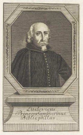 Bildnis des Ludovicus Sanseverinus