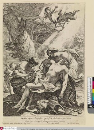 Maior eques plagis, has quor sum obducere. jnoeuum Concina martyrii nàmque tot ora patent.; [Martyrium des heiligen Sebastian]