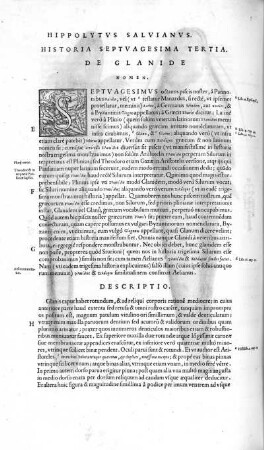 Historia Septuagesima Tertia. De Glanide