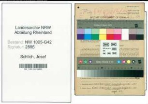 Entnazifizierung Josef Schlich , geb. 10.12.1911 (Maler)