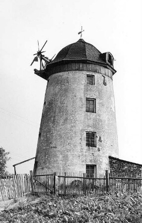 Thümmlitzwalde-Nauberg. Turmholländer