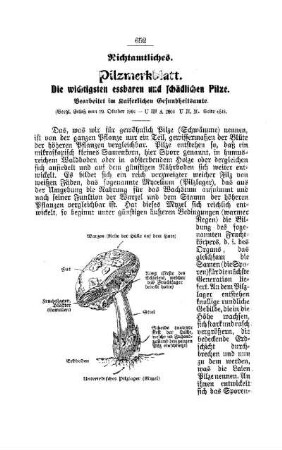 Pilzmerkblatt. Die wichtigsten essbaren und schädlichen Pilze : [Nichtamtliches]