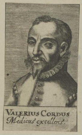 Bildnis des Valerius Cordus