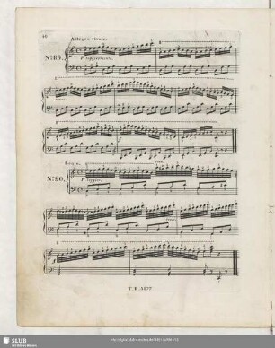 No. 90 Lento