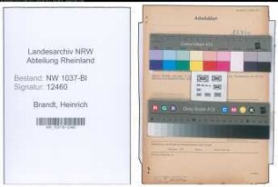 Entnazifizierung Heinrich Brandt , geb. 09.11.1895 (Sekretaer)