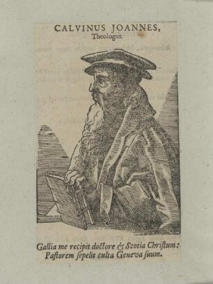 Bildnis des Calvinus Ioannes