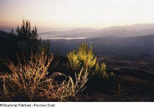 Landschaft
